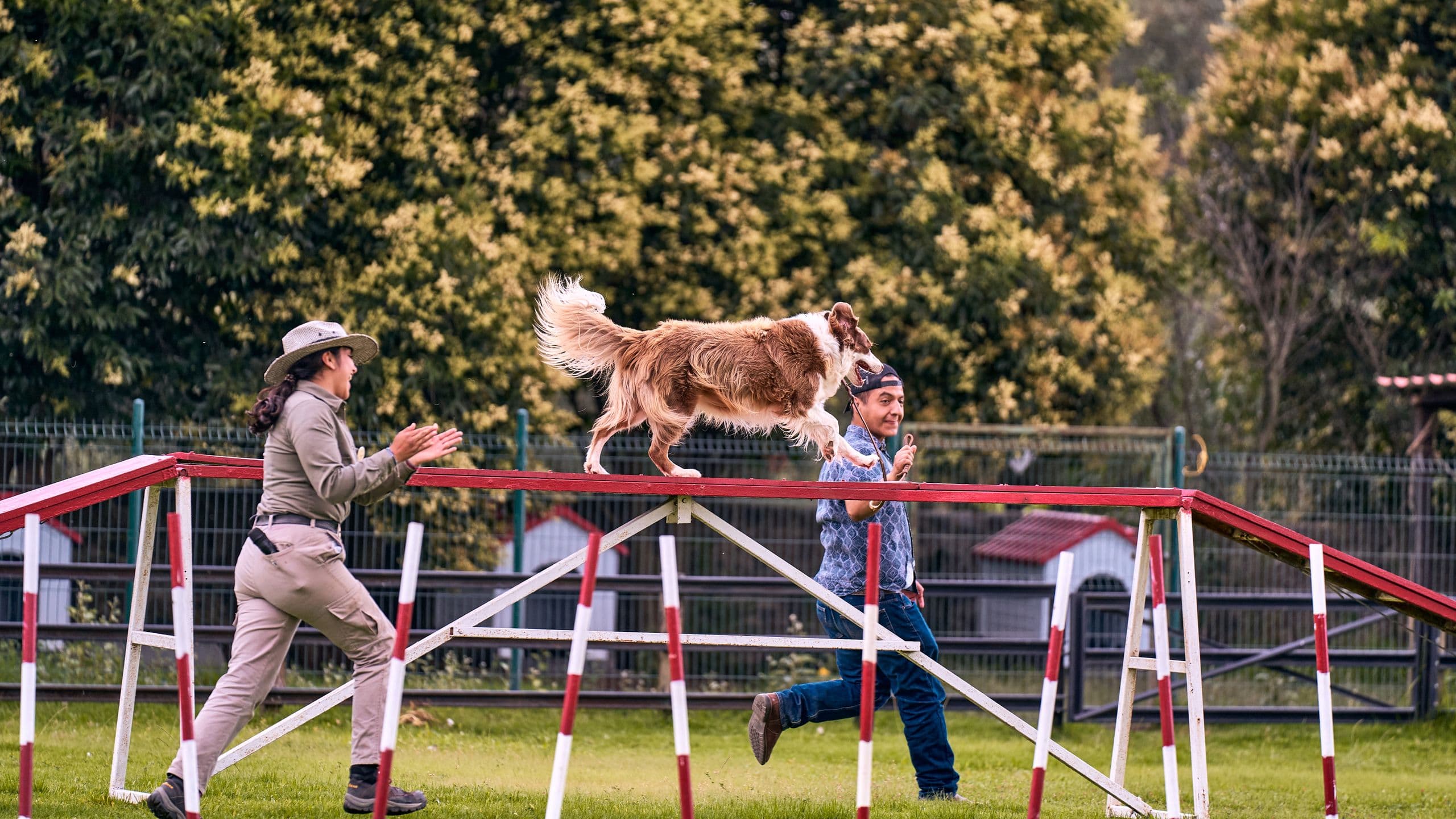 A handler running a dog through an outdoor agility course