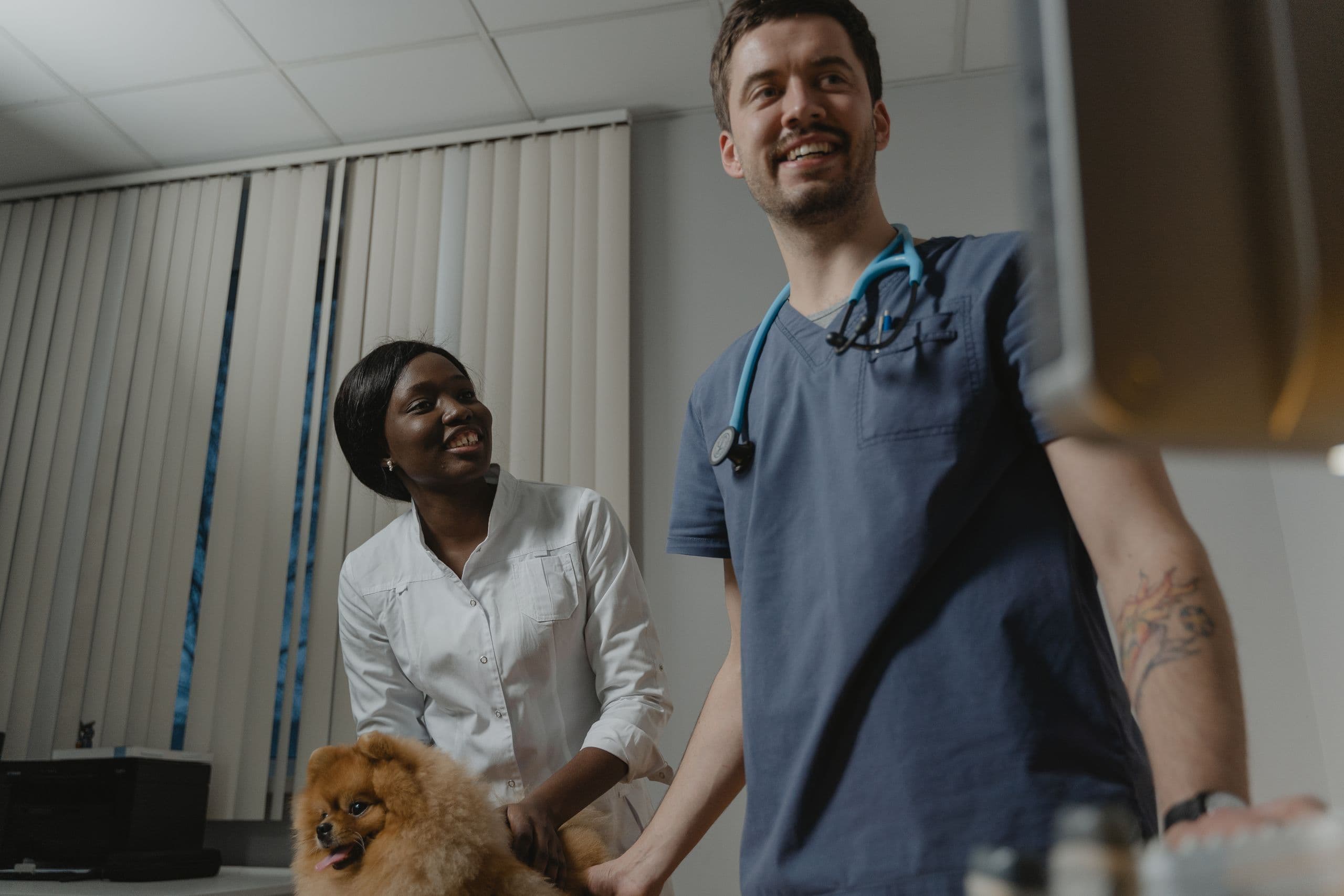 A veterinarian greeting a client and her pomeranian in the exam room